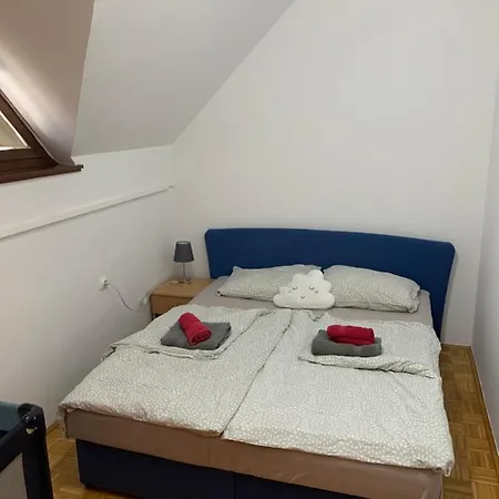 Lotty 卡特兹奥布萨维