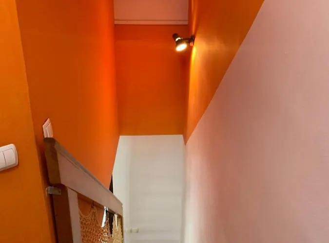 Lotty チャテジ・オプ・サヴィ